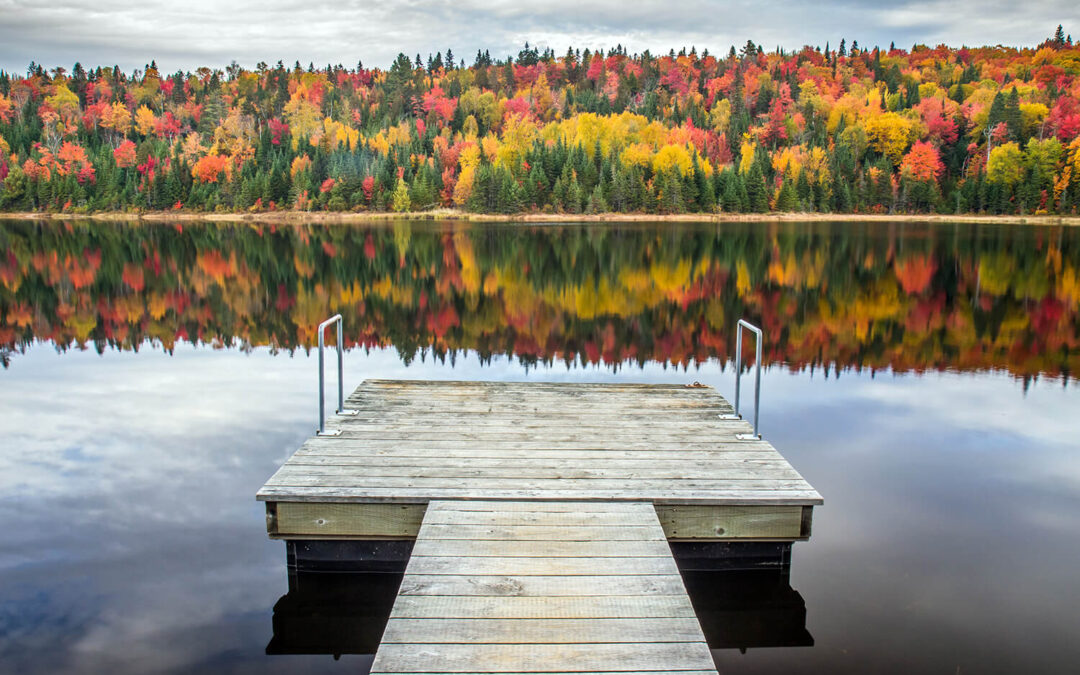 Top Tips for Maintaining Your Dock Throughout the Year